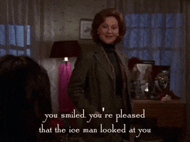 season 1 netflix GIF by Gilmore Girls 