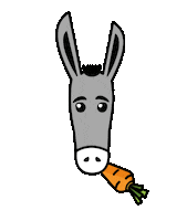 VillaDonkey_Switzerland food hungry schweiz carrot Sticker