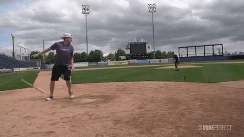 bat kickball GIF