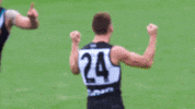 Football Afl GIF by Port Adelaide FC