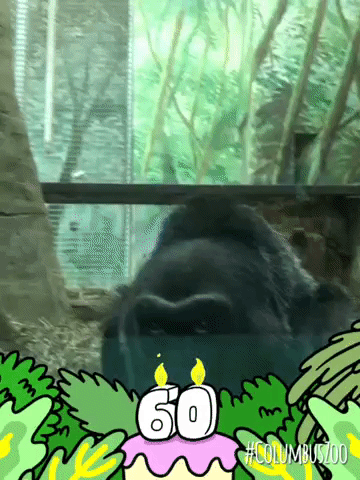 framebeta GIF