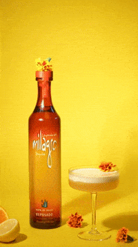 Mexico City Cheers GIF by Milagro Tequila