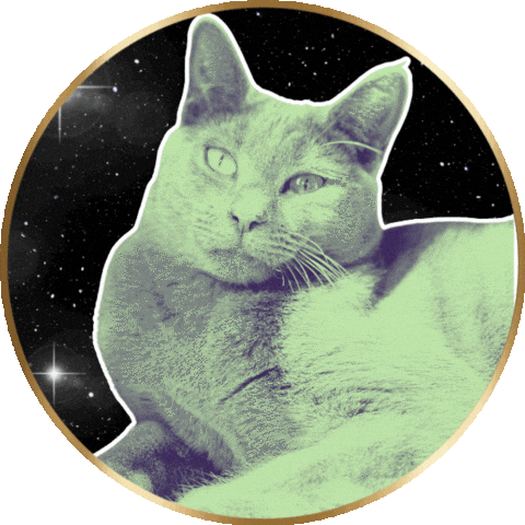 Cat Yawn Sticker