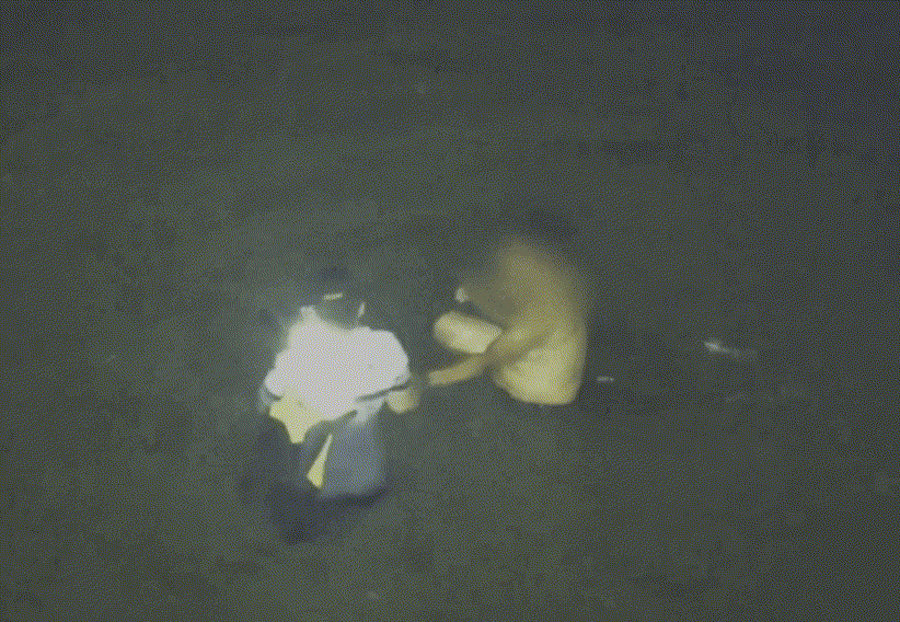 yj_jane giphyupload GIF