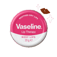 Skin Care Beauty Sticker by Vaseline South Africa