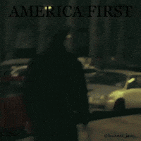 America First Usa GIF