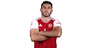 arsenal football soccer futbol london Sticker