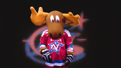 marty moose yes GIF by Newcastle Northstars