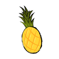 Chovi summer fruit tropical pia Sticker