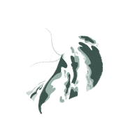 Happy New Year Bonne Annee Sticker by Monstera Mania