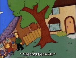 homer simpson car GIF