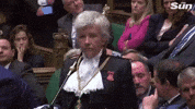 news stare parliament death stare deathstare GIF