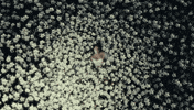 Born Again GIF
