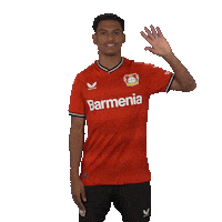 See You Goodbye Sticker by Bayer 04 Leverkusen