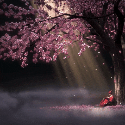 Move Things GIF by Learner Circle