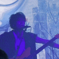 Rabbit Hole GIF