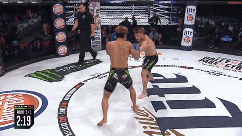 fail knock out GIF by Bellator