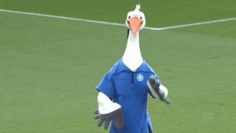 Bundesliga Stolle GIF by Holstein Kiel