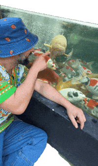 Sausage Lasagne GIF by Ilsenfumentdubon