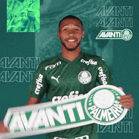 Happy Feliz GIF by SE Palmeiras