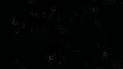 Black And White Vibes GIF by Soccer Mommy