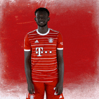 Football Thumbs Up GIF by FC Bayern Munich