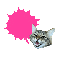 Cat Sticker by BEAMS