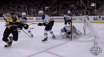 happy 2019 stanley cup finals GIF by NHL