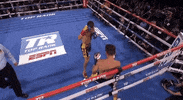 toprank fight boxing fighting champion GIF
