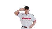 Kbo Sticker by Kiwoom Heroes Baseball Club