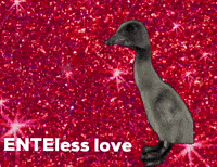 Endless Love Duck GIF