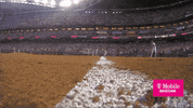 Major League Baseball Running GIF by MLB