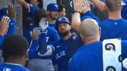 Blue Jays Baseball GIF by Toronto Blue Jays