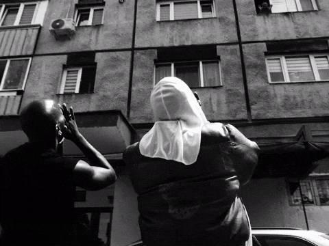 Straydog GIF by amuse