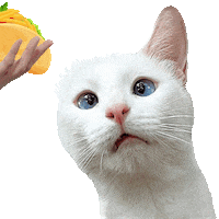 White Cat Eating Sticker