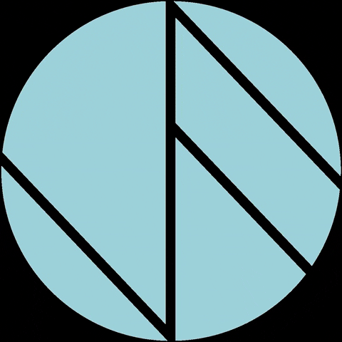 VisionFetch giphygifmaker GIF