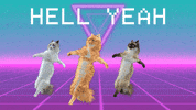 HollerStudios  GIF