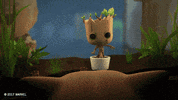 Guardians Of The Galaxy Rocket GIF by Marvel