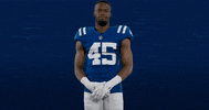 Wait What Wtf GIF by Indianapolis Colts