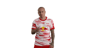 Watching I See You Sticker by RB Leipzig