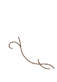 Flowers Growing Sticker