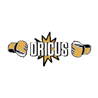 Ufc Boxing Sticker
