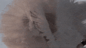 The Dark Fashion GIF by Chelsea Wolfe