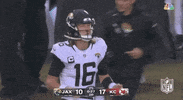 Nfl Playoffs Applause GIF by NFL