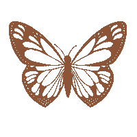 Butterfly Insect Sticker