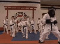 Karate GIF by Angela Shelton