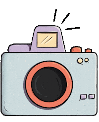Picture Perfect Travel Sticker