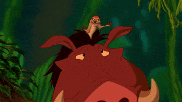 disneymusic disney lion king the lion king hakuna matata GIF