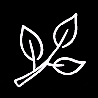 charlly white nature drawing plant GIF