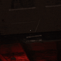 Days No GIF by Exclusive Brands